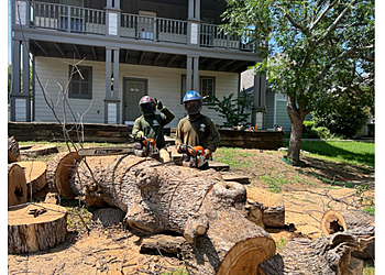 JP Tree Services, LLC - Dallas, TX Tree Services