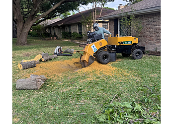 JP Tree Services, LLC - Dallas, TX Tree Services