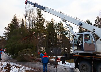 New York Tree Services JRs Tree Service