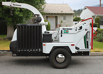 Pasadena Tree Services JR's Tree Service and Landscape