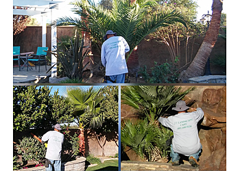 Lancaster Lawn Care Services JT Landscape Care