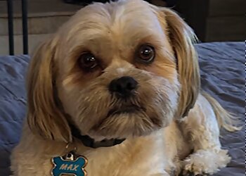 Albuquerque Pet Grooming Jack & Rascals