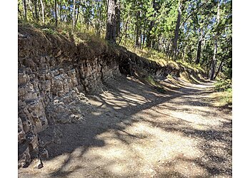 Salinas Hiking Trails Jacks Peak Park