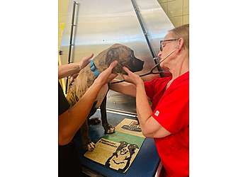 Jackson Veterinary Clinics Jackson Animal Clinic