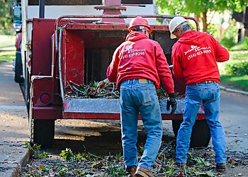 St Louis Tree Services Jackson Tree Service