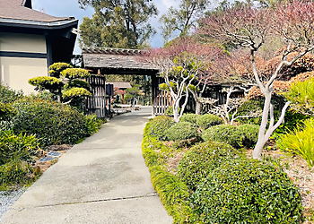 Hayward Places To See Japanese Gardens