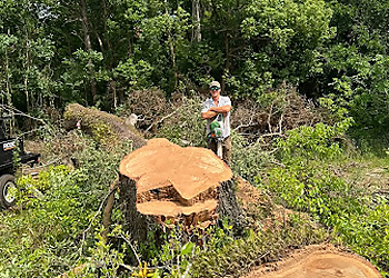 Mobile Tree Services Jay Eubanks Tree Service