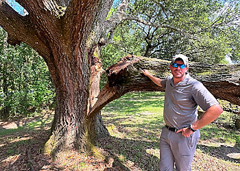 Mobile Tree Services Jay Eubanks Tree Service