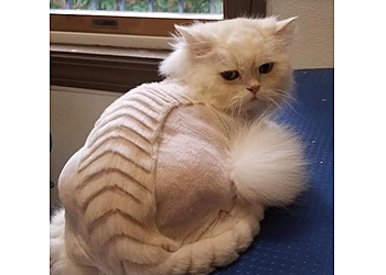 Cambridge Pet Grooming Jeana's Dirty Dog Salon