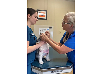 Baton Rouge Veterinary Clinics Jefferson Animal Hospital