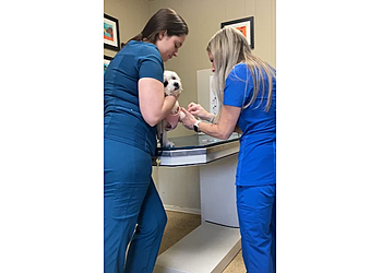 Baton Rouge Veterinary Clinics Jefferson Animal Hospital