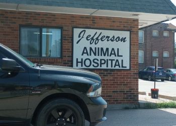 Jefferson Animal Hospital St Louis Veterinary Clinics