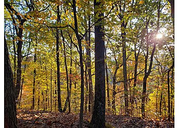 Louisville Hiking Trails Jefferson Memorial Forest