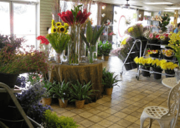 3 Best Florists in Tampa, FL - Expert Recommendations