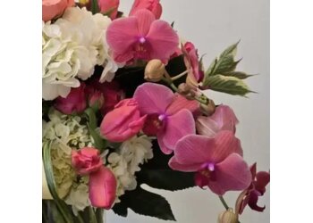 Jephry Floral Studio - Providence, RI Florists