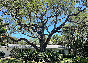 Jeremy's Tree Service Port St Lucie Tree Services image 1