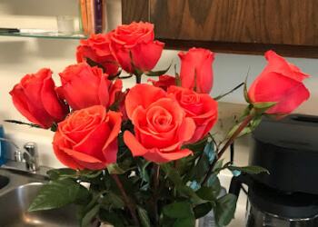 St Paul Florists Jerry's Roses