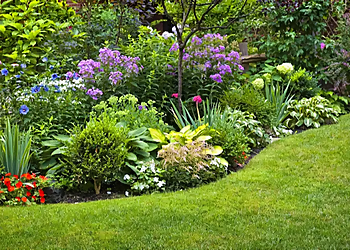 Jersey City Landscaping Companies Jersey City Landscapers