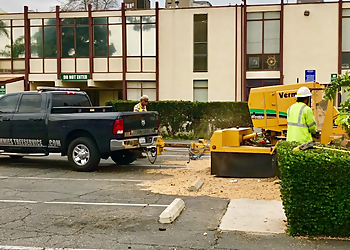 Long Beach Tree Services Jimmies Tree Service