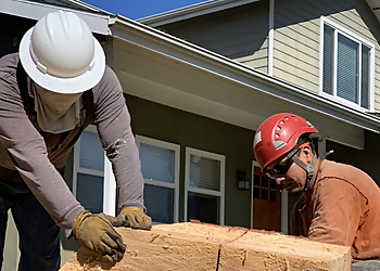 Long Beach Tree Services Jimmies Tree Service