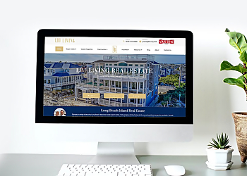 Jives Media - Honolulu, HI Advertising Agencies - Service Highlights