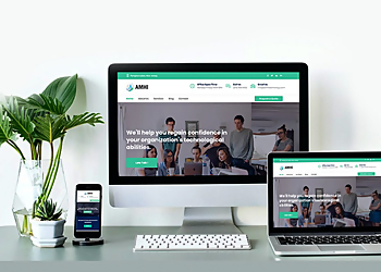 Jives Media - Honolulu, HI Advertising Agencies - Project Image