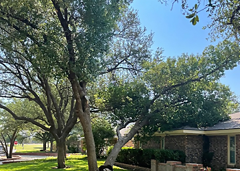 Midland Tree Services Jo Jo’s Bee Lawn & Tree Service