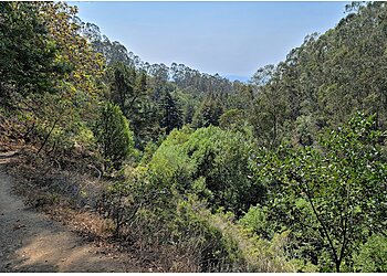 Oakland Hiking Trails Joaquin Miller Park