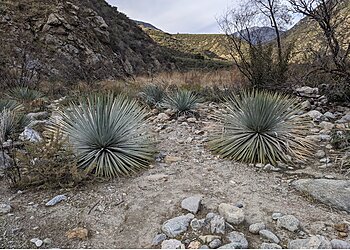 Rancho Cucamonga Hiking Trails Joatngna Trailhead