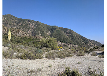 Joatngna Trailhead Rancho Cucamonga Hiking Trails