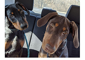 Olathe Dog Walkers Joco Barking Club