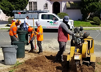 Chula Vista Tree Services Joel's Tree Service