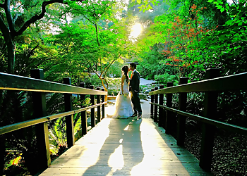 Torrance Wedding Photographers Joey Ikemoto Photography, Inc.