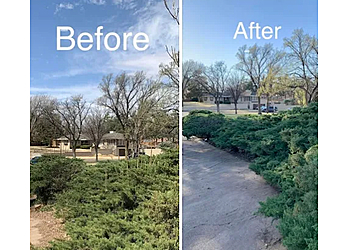 Joey's Tree Service - Amarillo, TX Tree Services - Before and After Image