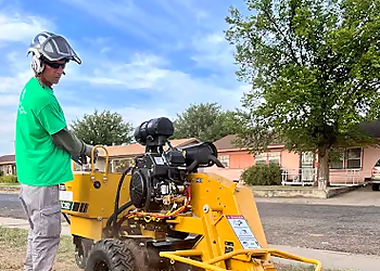 Joey's Tree Service Joey's Tree Service - Amarillo, TX Tree Services - Service Image