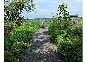 Philadelphia Hiking Trails John Heinz National Wildlife Refuge at Tinicum