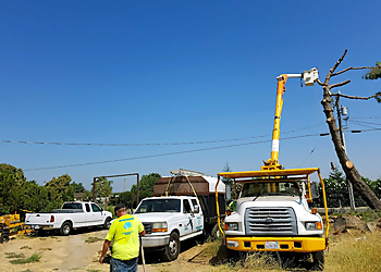 Stockton Tree Services John N Eddie's Tree Care