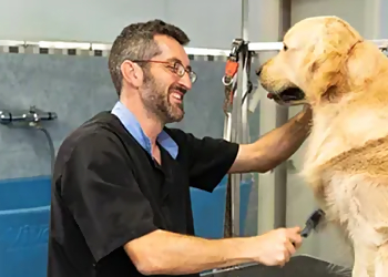 Gilbert Pet Grooming Johnny's Doghouse