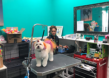 Gilbert Pet Grooming Johnny's Doghouse