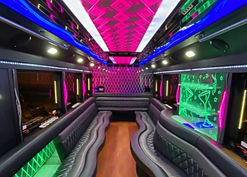 Joliet Limo Joliet Limo Service image 1