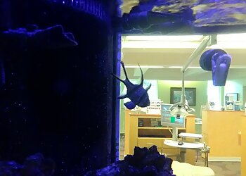 Birmingham Kids Dentists Jonathan C. Curtis, DMD, MPH - CAHABA VALLEY PEDIATRIC DENTISTRY