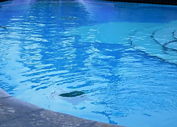 North Las Vegas Pool Services Jonathan's Pool Solutions