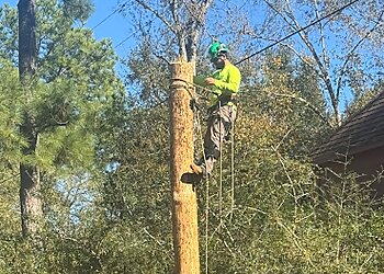 Houston Tree Services Jones Road Tree Service