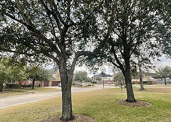 Houston Tree Services Jones Road Tree Service