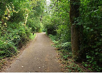 Salem Hiking Trails Joryville Park