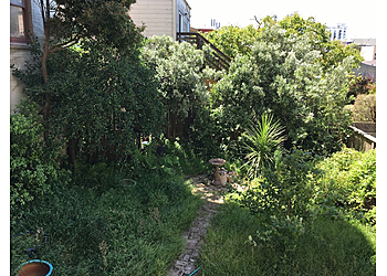 San Francisco Lawn Care Services Jose Lopez Garden Services