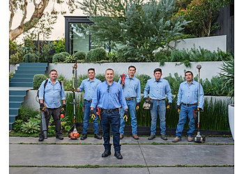 Jose Lopez Garden Services San Francisco Lawn Care Services image 1