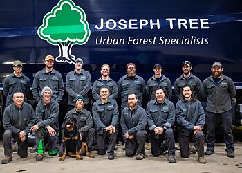 Columbus Tree Services Joseph Tree