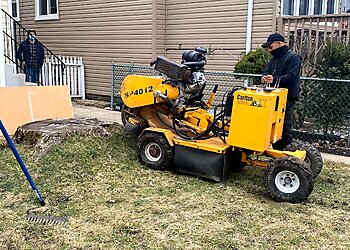 Chicago Tree Services Jose's Tree Services