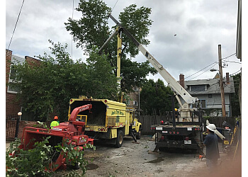 Jose's Tree Services Chicago Tree Services